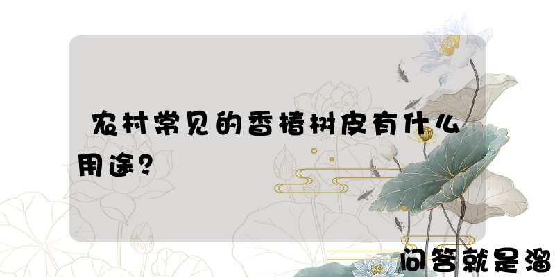 农村常见的香椿树皮有什么用途？