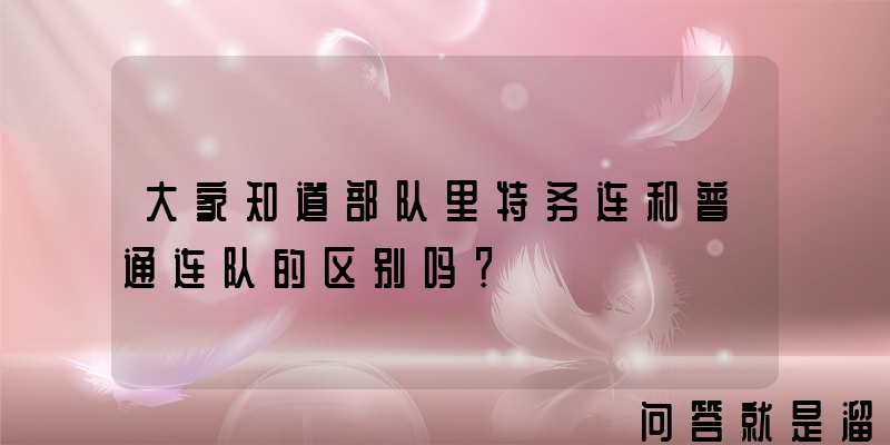 大家知道部队里特务连和普通连队的区别吗？