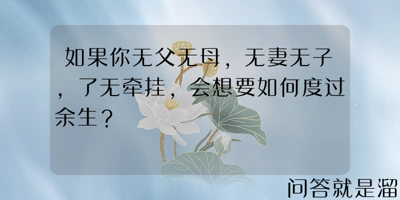 如果你无父无母，无妻无子，了无牵挂，会想要如何度过余生？