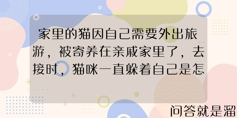 家里的猫因自己需要外出旅游，被寄养在亲戚家里了，去接时，猫咪一直躲着自己是怎么回事？