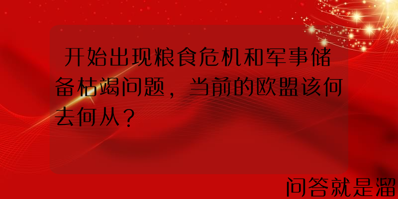 开始出现粮食危机和军事储备枯竭问题，当前的欧盟该何去何从？