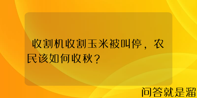 收割机收割玉米被叫停，农民该如何收秋？