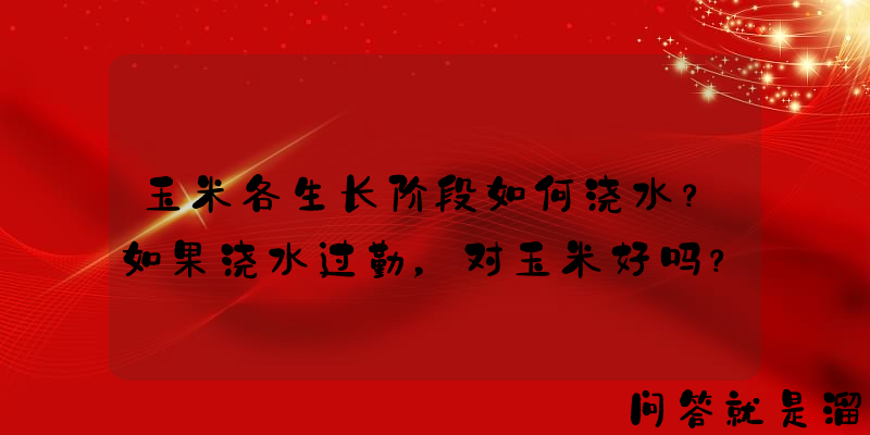 玉米各生长阶段如何浇水？如果浇水过勤，对玉米好吗？