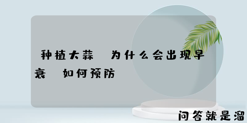 种植大蒜，为什么会出现早衰？如何预防？