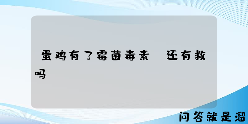 蛋鸡有了霉菌毒素，还有救吗？