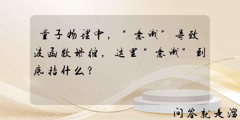 量子物理中，“意识”导致波函数坍缩，这里“意识”到底指什么？