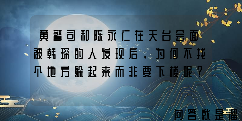 黄警司和陈永仁在天台会面被韩琛的人发现后，为何不找个地方躲起来而非要下楼呢？